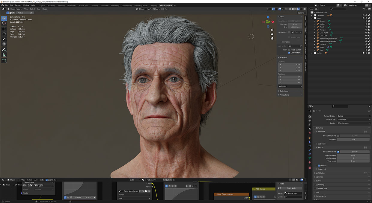 High-Resolution 3D Elderly Male Head Model with Polygon Hair in Blender - 3DScanStore